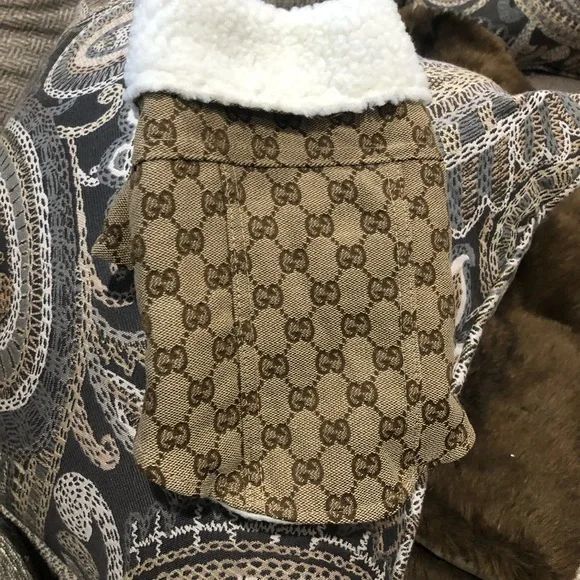 Beautiful inspired G doggy coat. Message size - Picture 1 of 8